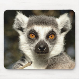 Lemur Mousepad