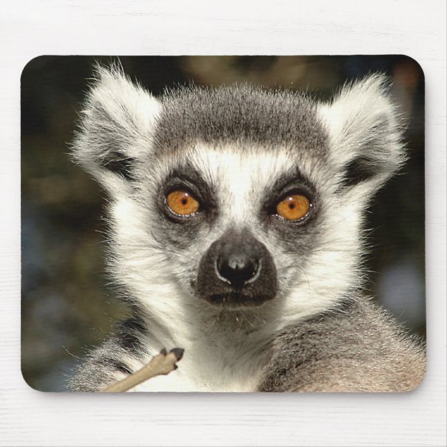 Lemur Mousepad (Front)
