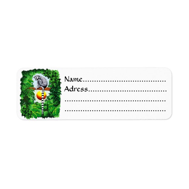 Lemur of Madagascar (Front)