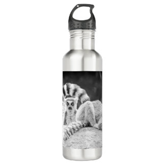 Lemur of Madagascar Water Bottle