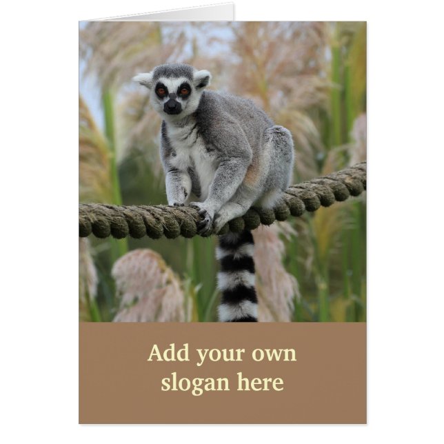 Lemur on Rope Photo to Customise Yourself (Front)