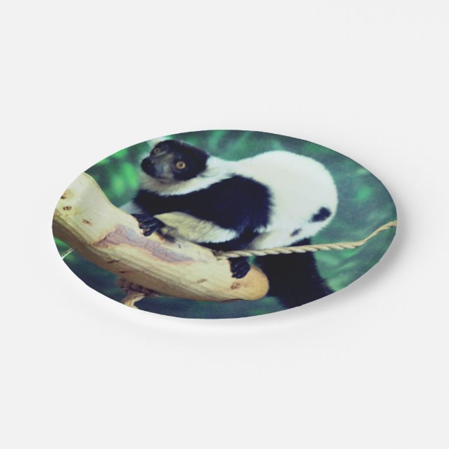 Lemur Paper Plate (Angled)