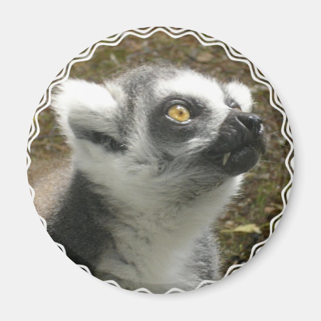Lemur Photo Magnet (Front)