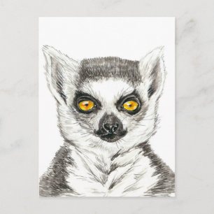 Lemur Postcard