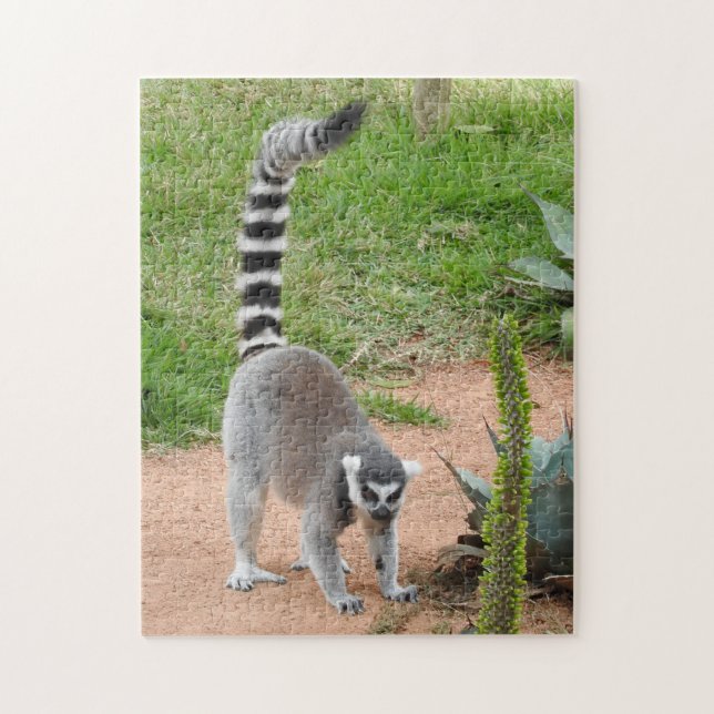 Lemur Puzzle (Vertical)