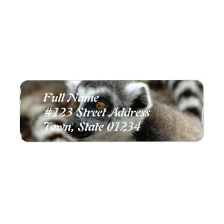 Lemur Return Address Label