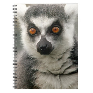 Lemur Spiral Notebook