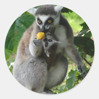 Lemur Sticker