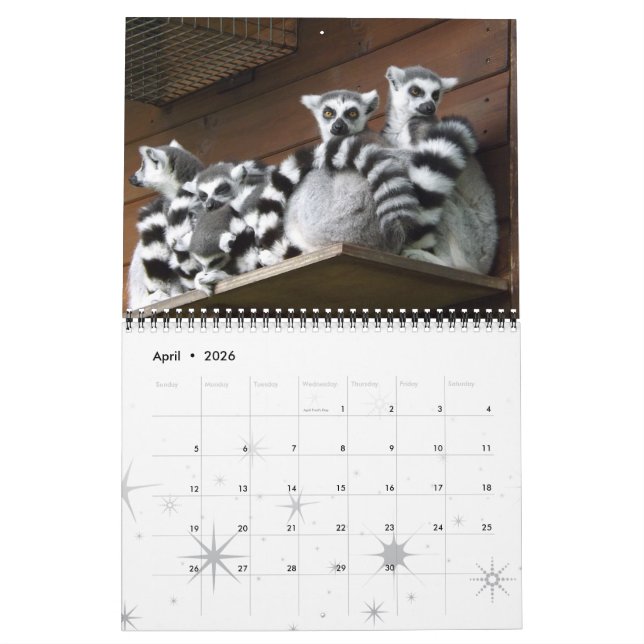 Lemur Wild Primate Welcome Home Destiny Destiny'S Calendar (Apr 2026)