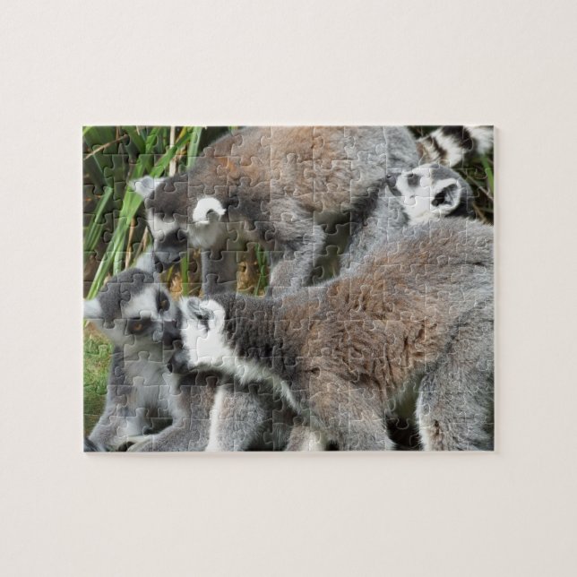 Lemurs Jigsaw Puzzle (Horizontal)