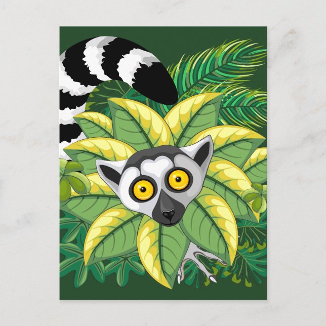 Lemurs of Madagascar in Exotic Jungle Postcard (Front)