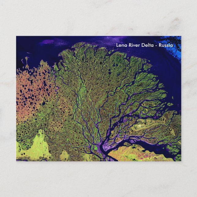 Lena River Delta from Space - Russia Postcard (Front)