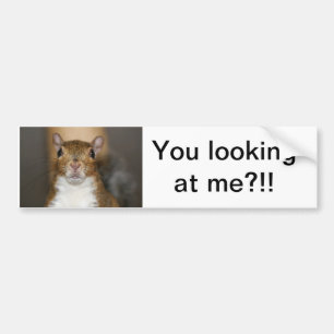 Lena You looking at me?!! Bumper Sticker