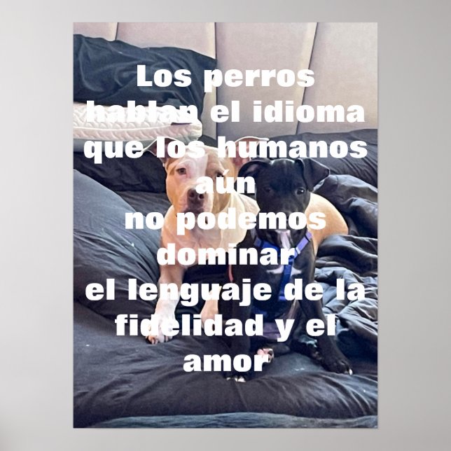 lenguaje animal poster (Front)