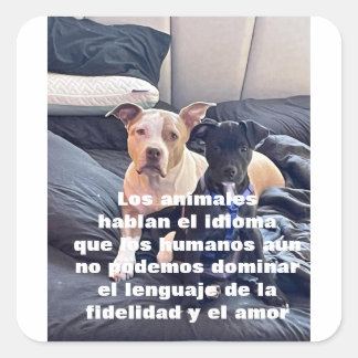 lenguaje animal square sticker