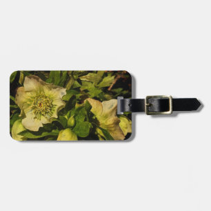 Lenten Rose Hellebore Luggage Tag