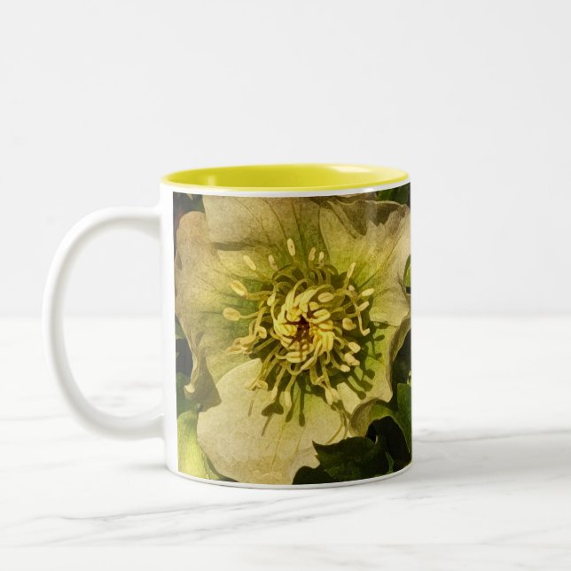 Lenten Rose Hellebore Two-Tone Coffee Mug (Left)