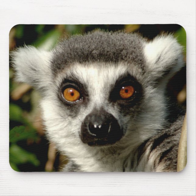 Lenur Mousepad (Front)