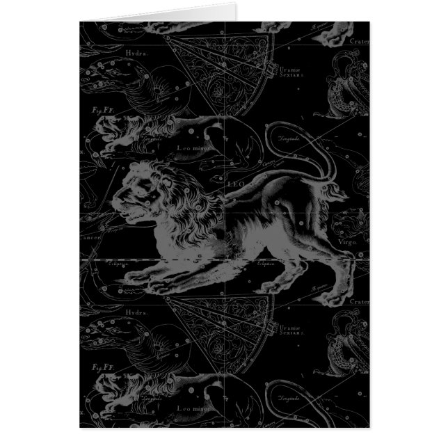 Leo Constellation Hevelius 1690 Decor (Front)