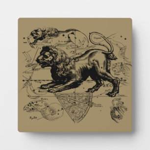 Leo Constellation Map Hevelius 1690 on Taupe Plaque