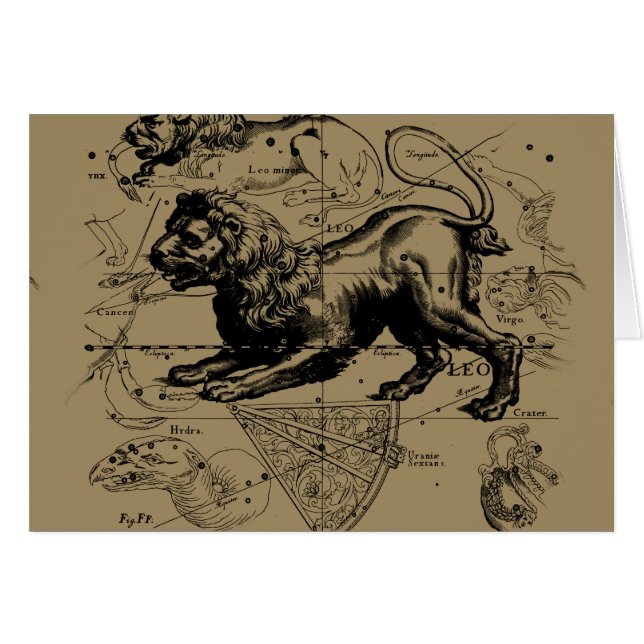 Leo Constellation Map Hevelius circa 1690 (Front Horizontal)
