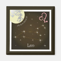 Leo July 23 to August 22 Magnet