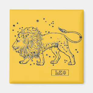 Leo Magnet
