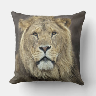 Leo Pillow