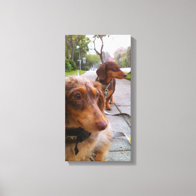 leo + polie canvas print (Front)