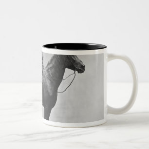 Leo Tolstoy riding Delire Two-Tone Coffee Mug