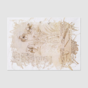 Leonardo da Vinci Inspired Tissue Paper
