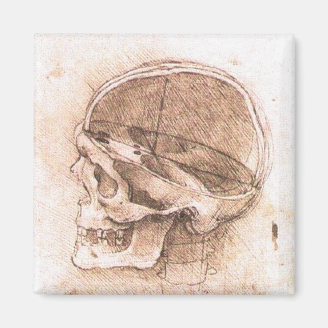Leonardo da Vinci Skull Anatomy Fine Art Magnet (Front)