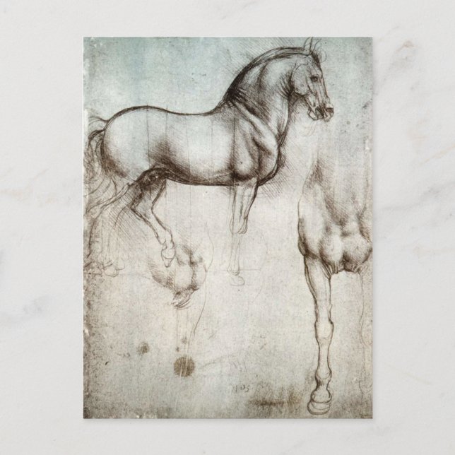 Leonardo da Vinci - Study of a Horse Postcard (Front)