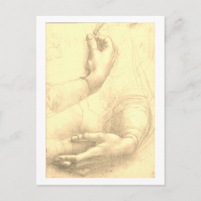 Leonardo da Vinci, Study of a Woman's Hands Postcard (Front)