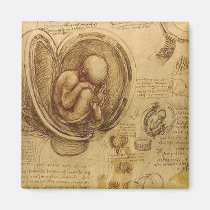 Leonardo Da Vinci - Study of Anatomy Magnet