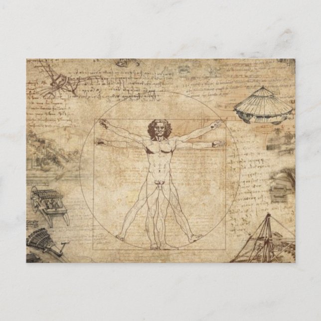 Leonardo Da Vinci The Vitruvian Man Postcard (Front)