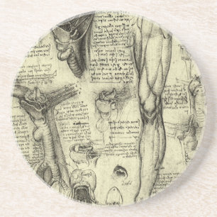 Leonardo da Vinci Vintage Human Anatomy Larynx Leg Coaster