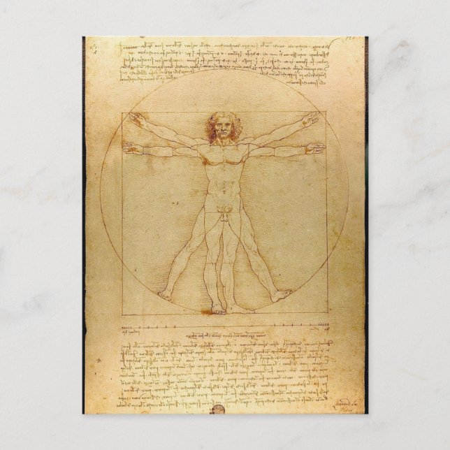 Leonardo Da Vinci - Vitruvian Man Painting Postcard (Front)