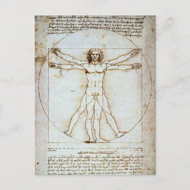 LEONARDO DA VINCI ... VITRUVIAN MAN POSTCARD (Front)