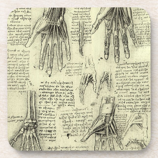 Leonardo da Vinci's Anatomy of the Human Hand Coaster (Front)