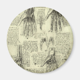 Leonardo da Vinci's Anatomy of the Human Hand Magnet