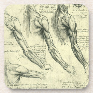 Leonardo da Vinci's Arm and Shoulder Anatomy Coaster