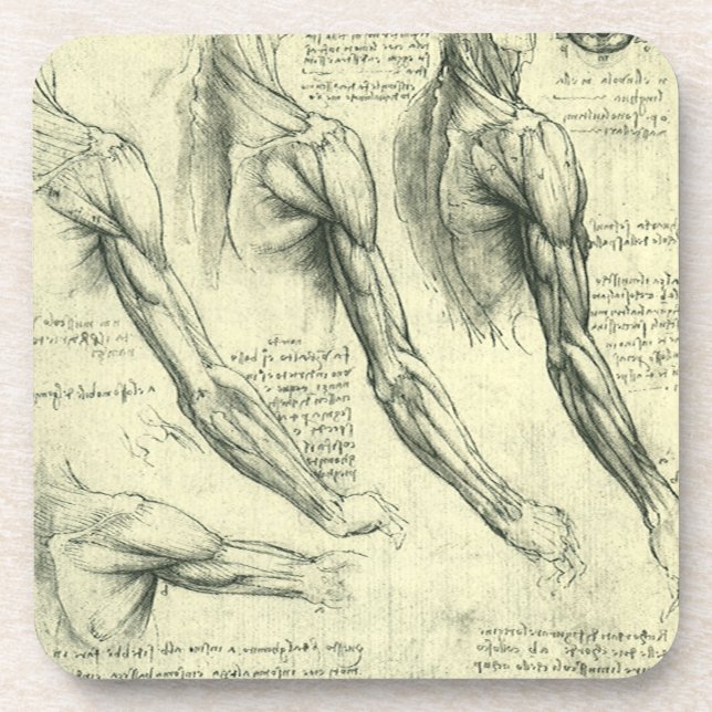 Leonardo da Vinci's Arm and Shoulder Anatomy Coaster (Front)