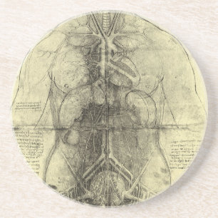 Leonardo da Vinci's Human Anatomy, Female Torso Coaster