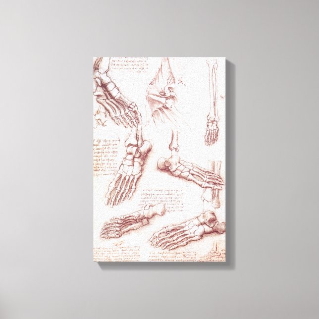 Leonardo da Vinci's Human Anatomy Foot Bones Canvas Print (Front)