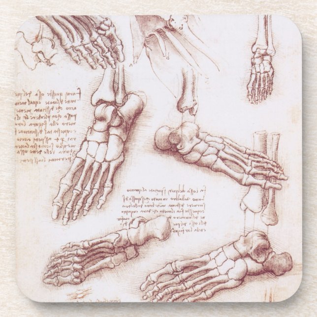 Leonardo da Vinci's Human Anatomy Foot Bones Coaster (Front)