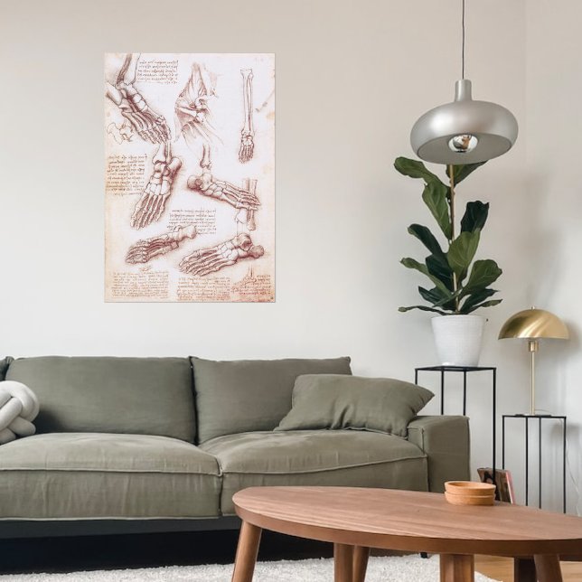 Leonardo da Vinci's Human Anatomy Foot Bones Poster (Creator Uploaded)