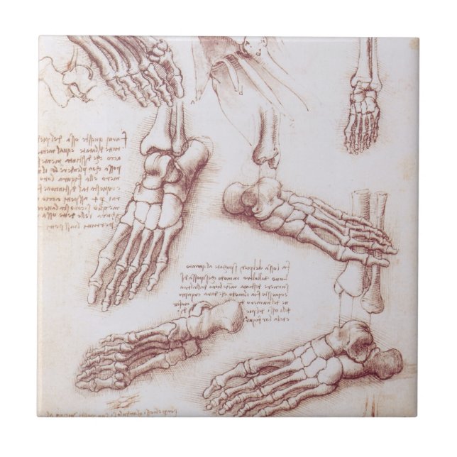 Leonardo da Vinci's Human Anatomy Foot Bones Tile (Front)