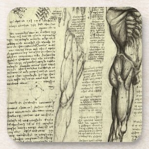 Leonardo da Vinci's Human Anatomy Male Muscles Coaster