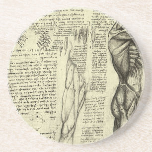 Leonardo da Vinci's Human Anatomy Male Muscles Coaster